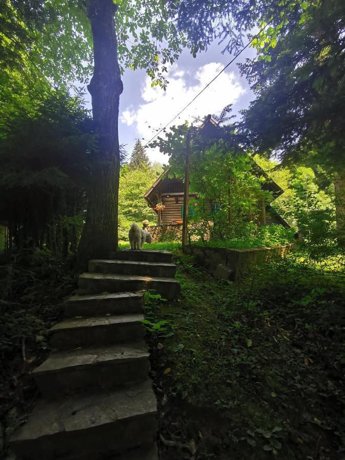 Vila Fani, Kostel - Vacation House Pr' Vili Fani 외부 사진